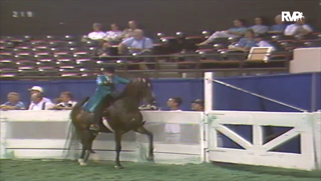 1992 WCHS Class 72 Junior Exhibitor F...