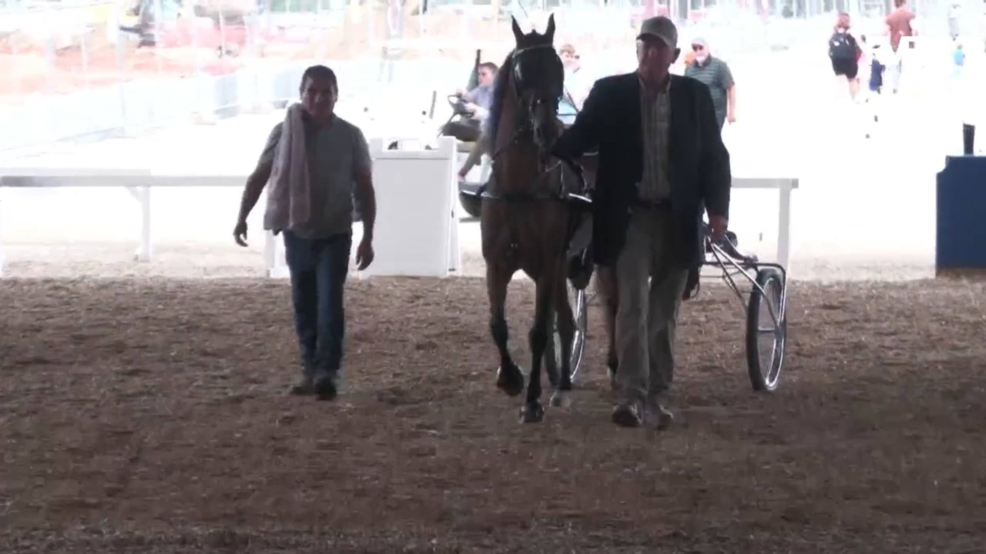 WCHS25 - Class 20 - Amateur Roadster Pony 50 - 52