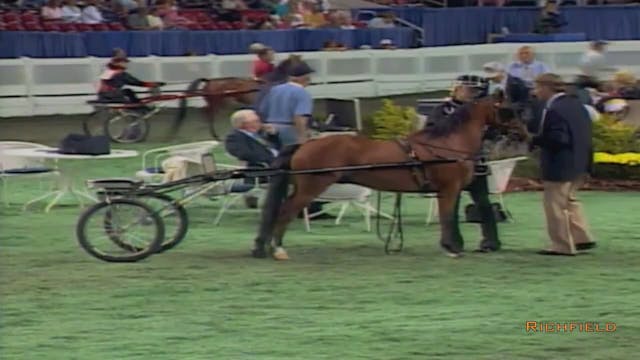 2002 WCHS Class 36 Amateur Road Pony ...