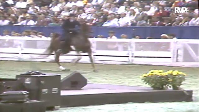 1991 WCHS Class 128 Junior Three Gait...