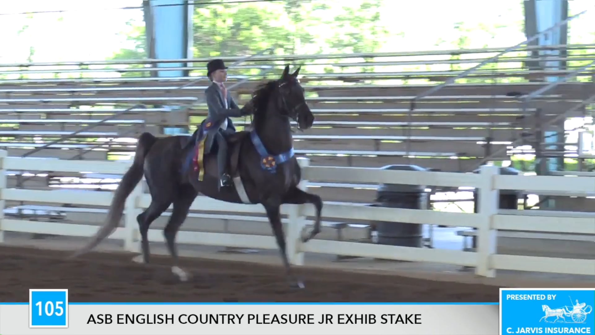 DC17 - Fox Grape's Chanel No. 5 - Championship