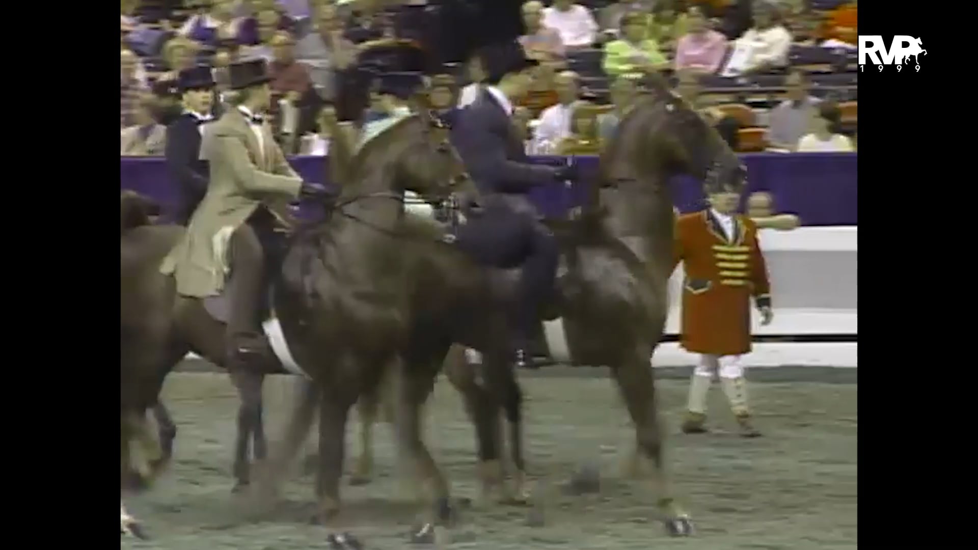 1999 WCHS - Class 142 Junior Exhibitor 14-15 Three Gaited Stake-