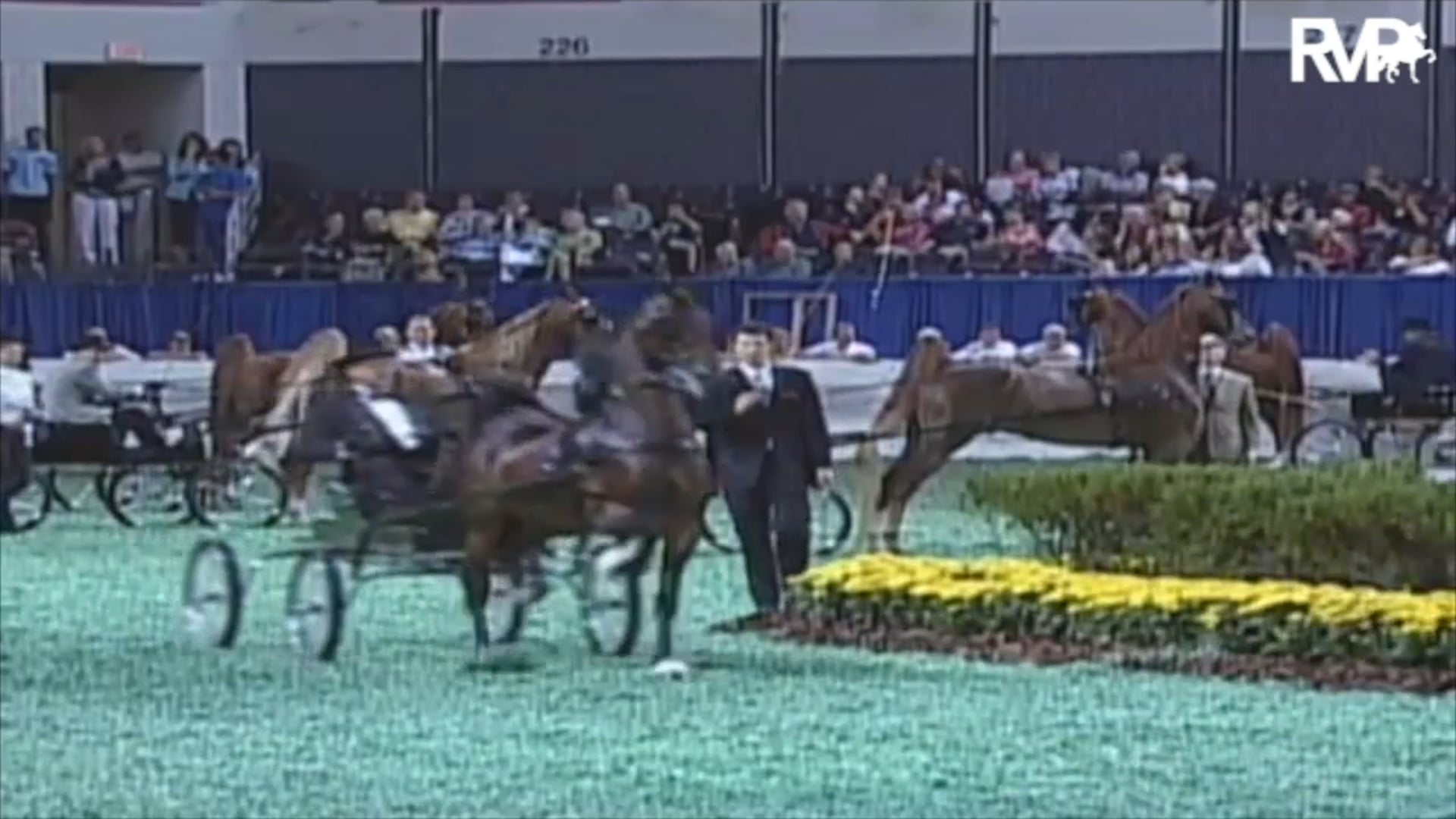 2009 - 2013 WCHS Junior Fine Harness Classes 