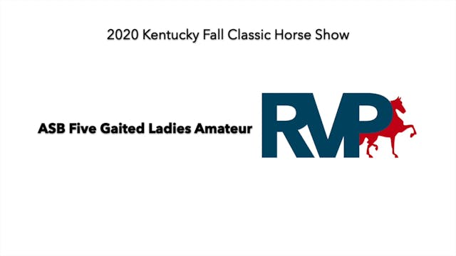KFC 2020 - Class 11 ASB Five Gaited L...