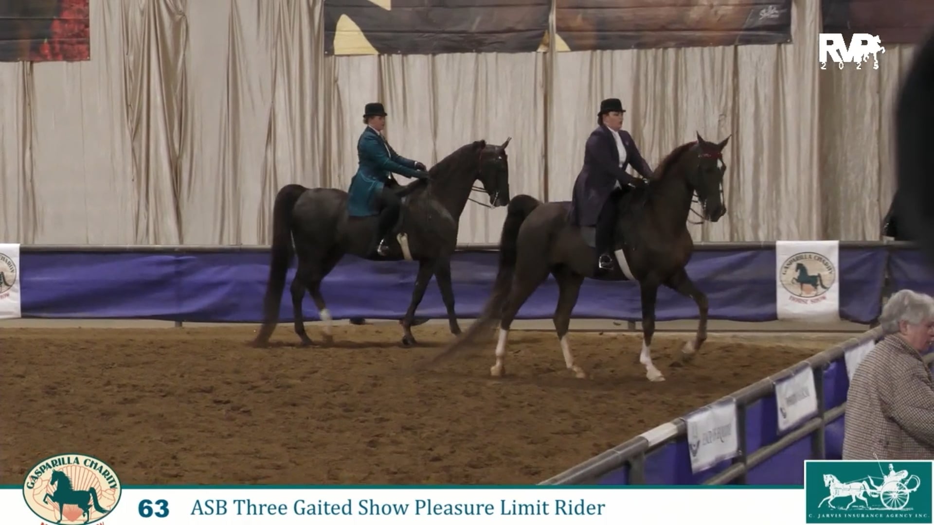 GC25 - Class 63 - ASB Three Gaited Show Pleasure Limit Rider