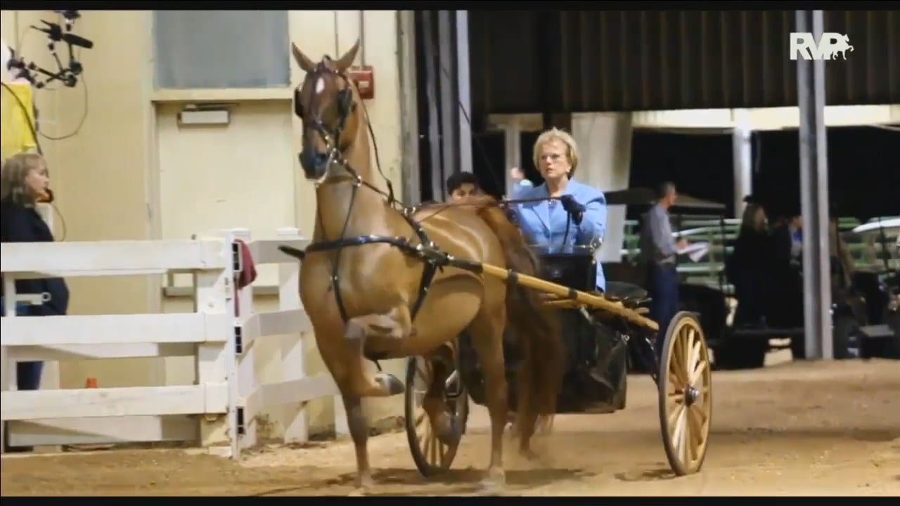 ALCB16 - Friday Evening