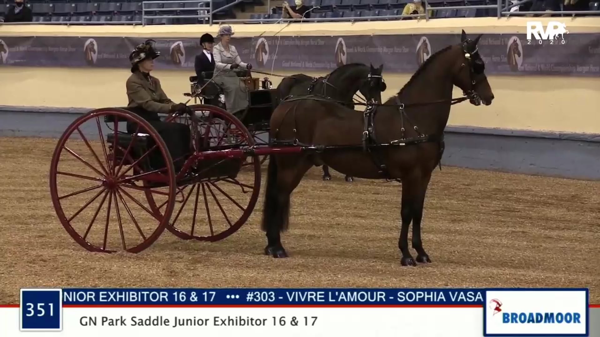 2020 MGN - 352 WC Carriage Pleasure Driving Single