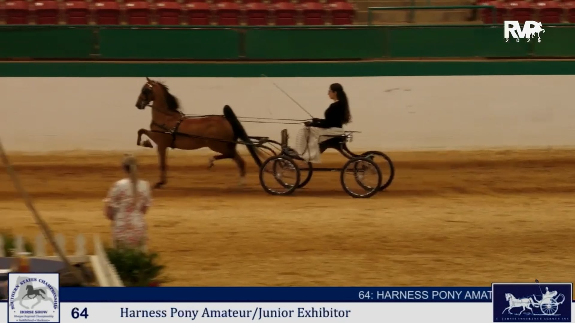 SS25 - Class 64 -  Harness Pony Amateur:Junior Exhibitor