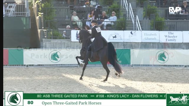 LJL24 - Class 80 - Open Three Gaited ...