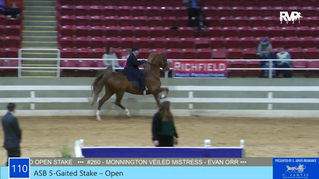ASW21 - Class 110 - ASB Five Gaited O...