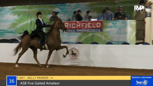 GASP21 - Class 36 - ASB Five Gaited A...