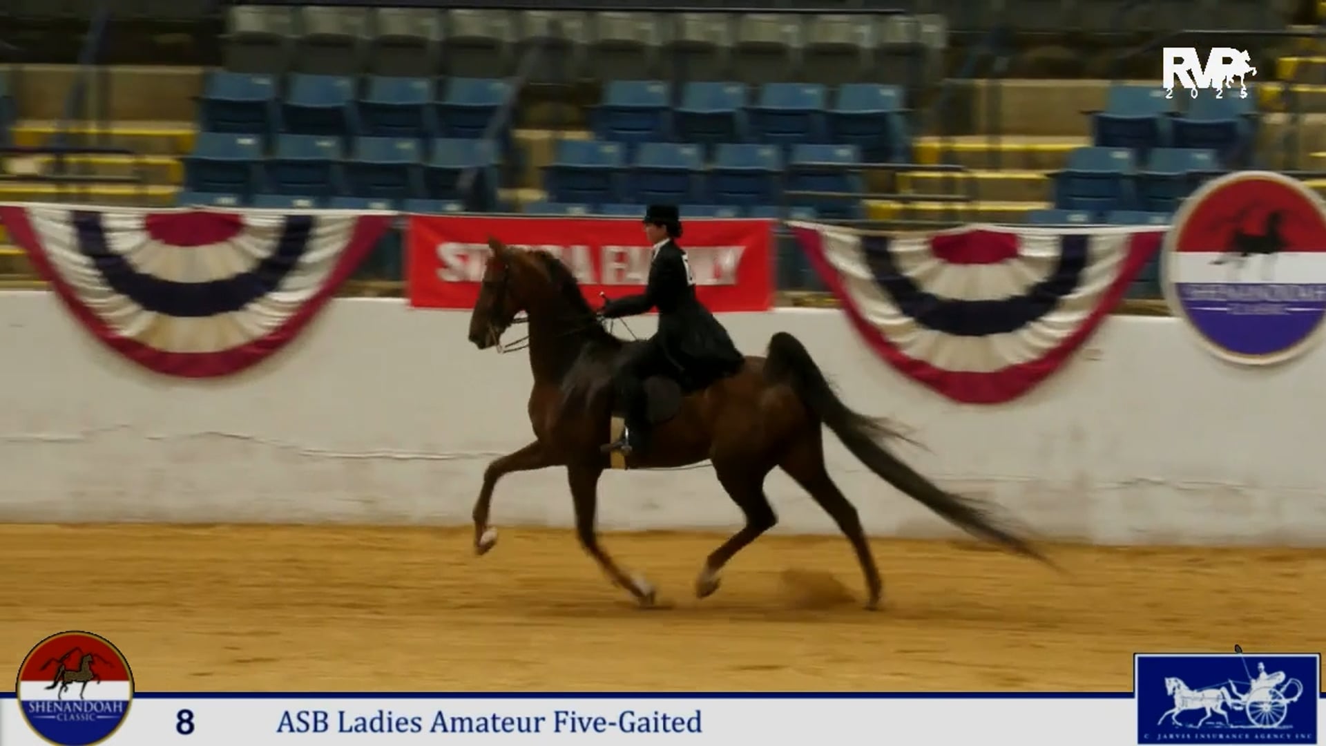 SC25 - Class 8 - ASB Ladies Amateur Five Gaited