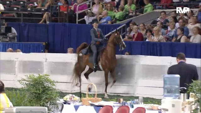 2012 WCHS - Class 39 Three Gaited Pon...