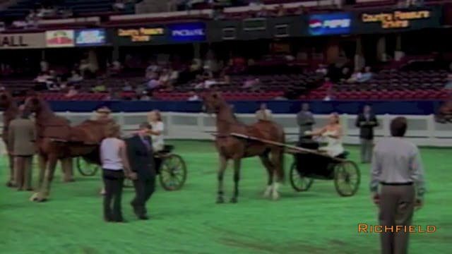2001 WCHS - Class 20 - Country Pleasu...