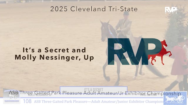 CTS25 - Class 108 - It's a Secret and...