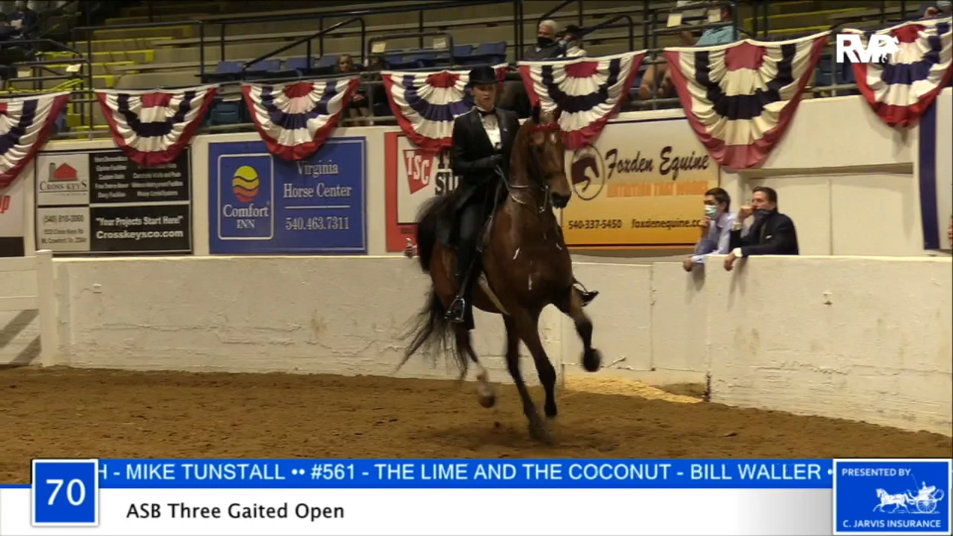 2020 BB - Class 70 ASB Three Gaited Open