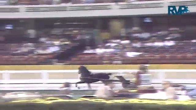 1987 WCHS Class 15 AHHS Futurity 3Yea...