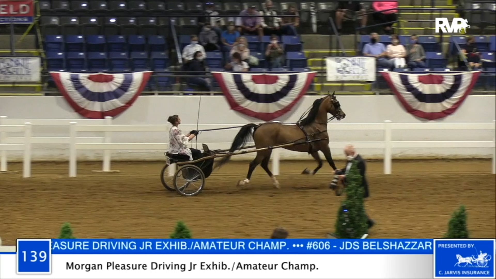 2020 BB - Class 139 Morgan Pleasure Driving Amateur:Junior Exhibitor Championship