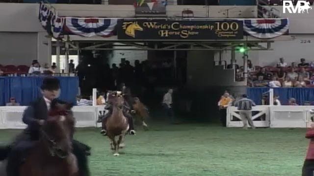 2003 WCHS Class 24 Five Gaited Pony R...