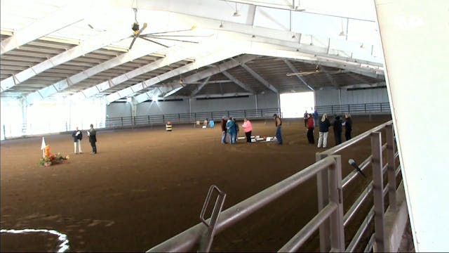 2017 MGN - Sport Horse 2 - Tuesday Mo...