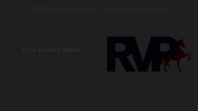 KYFC21 - Class 119 -  Five Gaited Stake