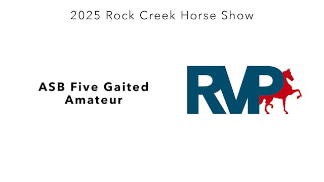 RC25 - Class 46 - ASB Five Gaited Ama...