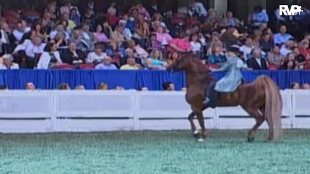 2009 World's Championship Horse Show ...