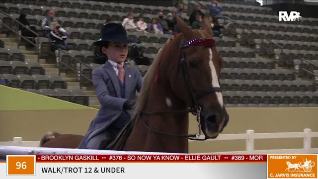 KFC 2020 - Class 96 Walk:Trot, Riders...