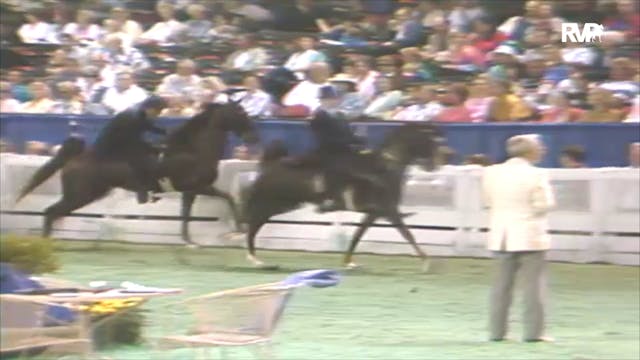1992 WCHS Class 141 Three Year Old Fi...