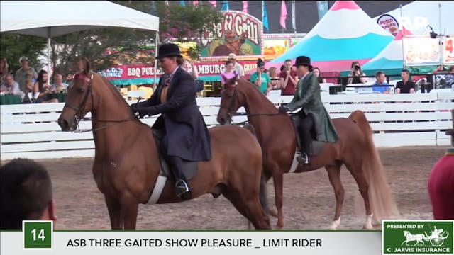 2017 RC - Class 14 ASB Three Gaited S...