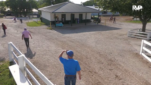 SCF25 - Class 109 - ASB Five Gaited J...