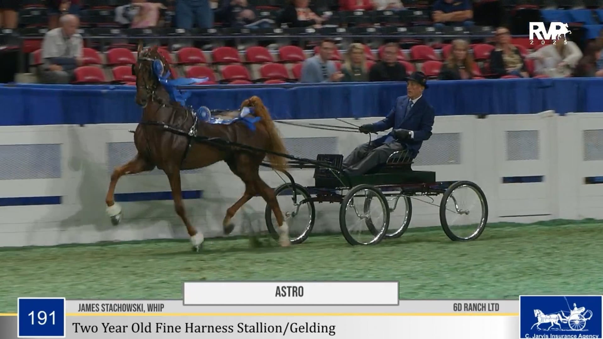 WCHS25 - Class 191 - Astro and James Stachowski, Whip