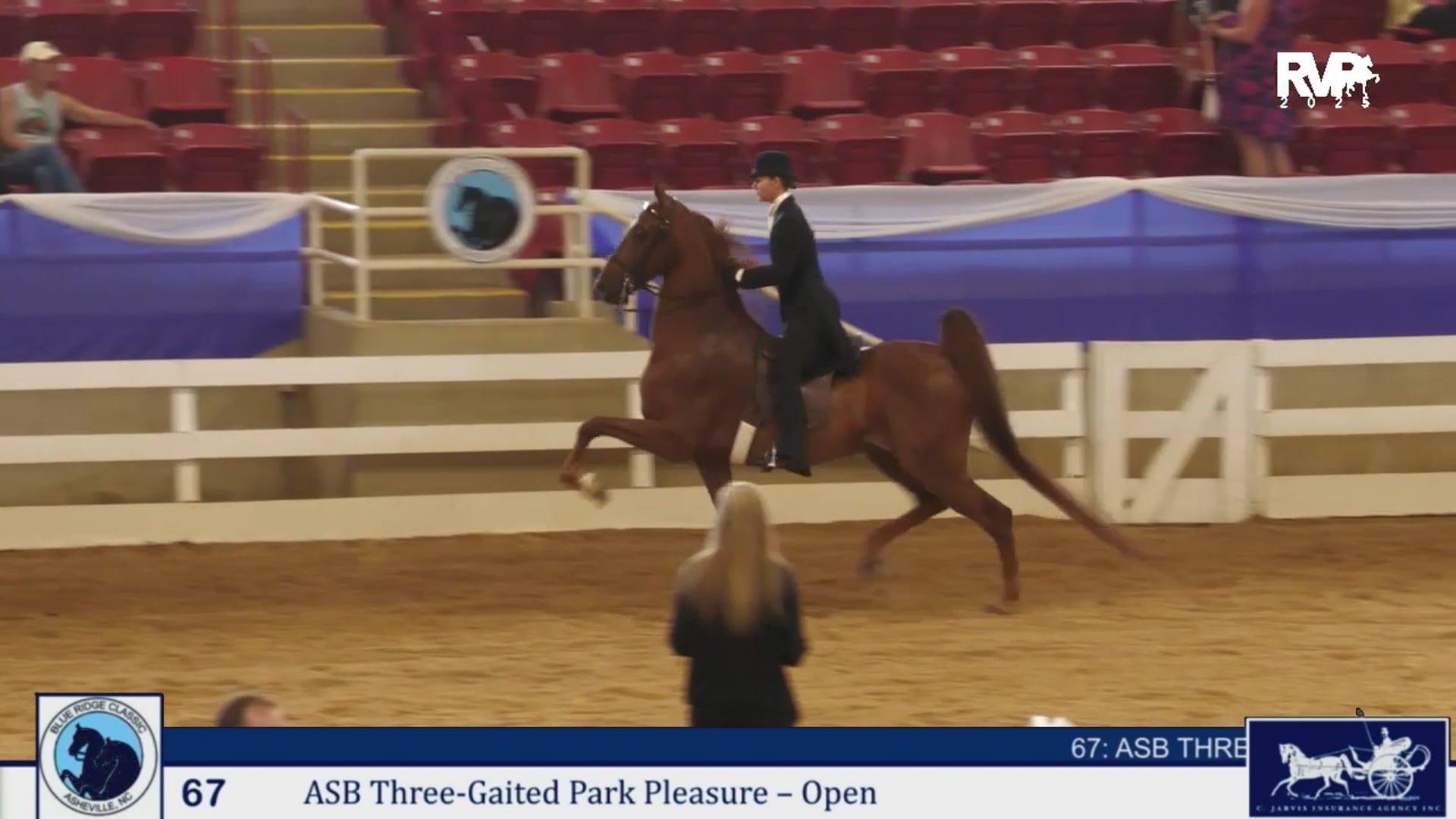 BRC25 - Class 67 - ASB Three Gaited Park Pleasure - Open