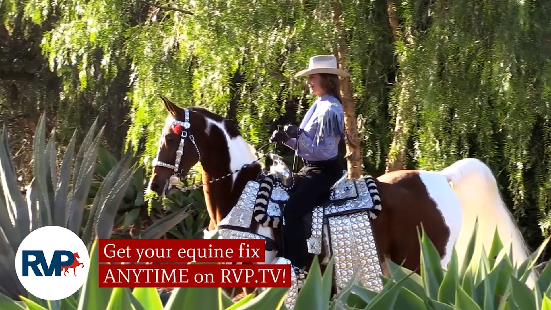 WCHS21 - Class 58 - Heartland Patriot and Alexandra Lilly, Up