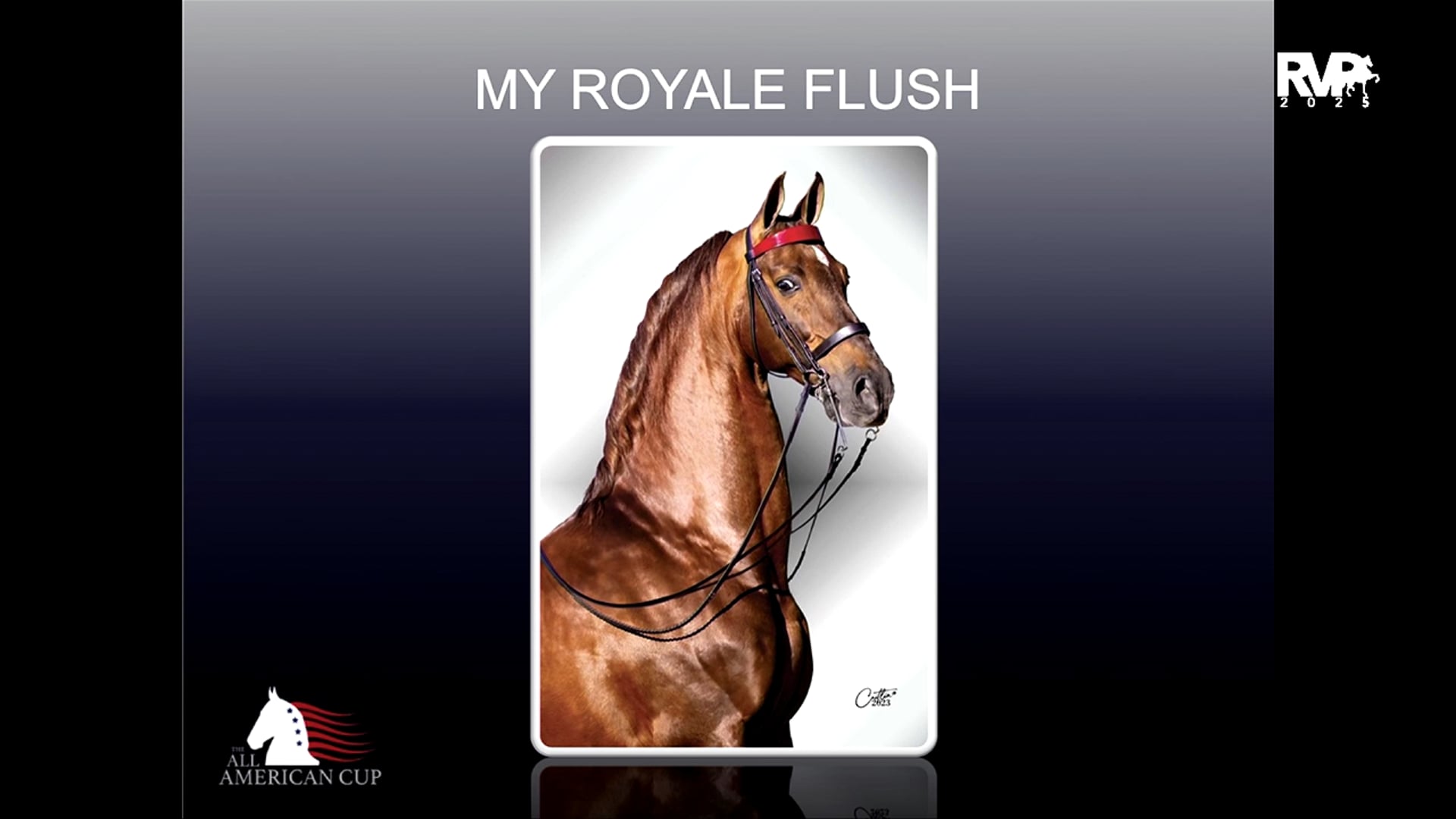 AASA25 3. MY ROYALE FLUSH 
