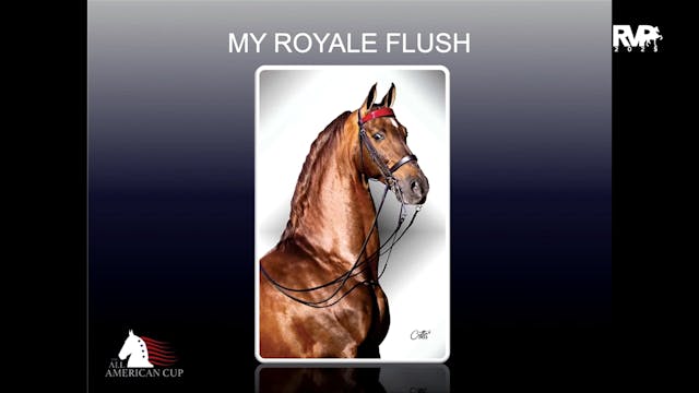 AASA25 3. MY ROYALE FLUSH 