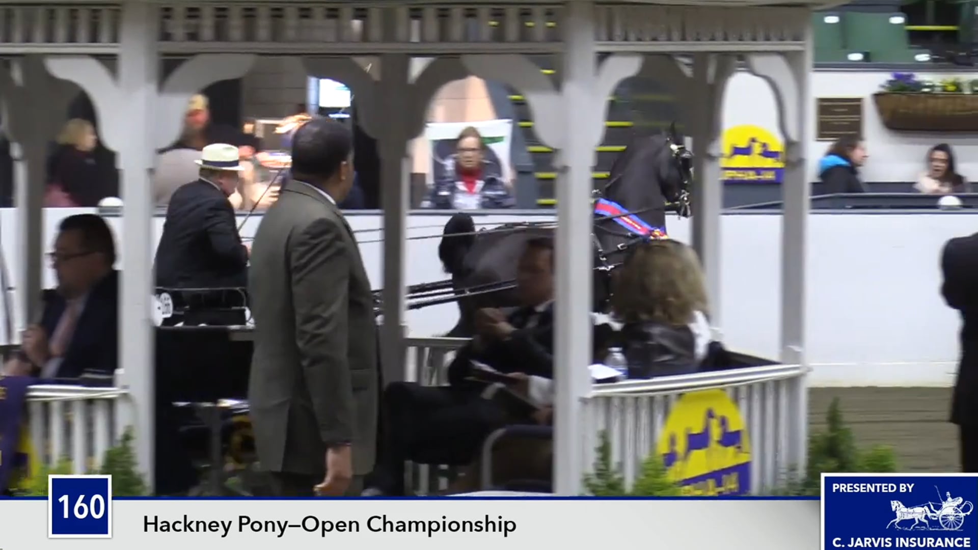 UPHACh14 17 - The Spiderman - Championship