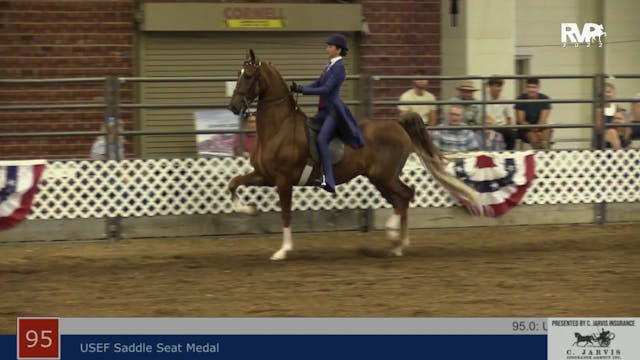 AAC22 - Class 95 -  USEF Saddle Seat ...