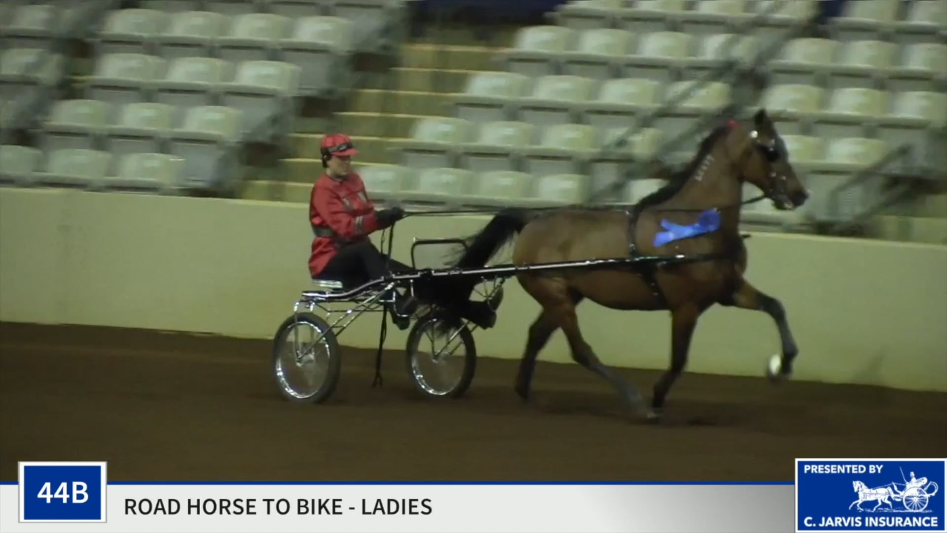 SSSF19 - Class 44B - Roller Coaster