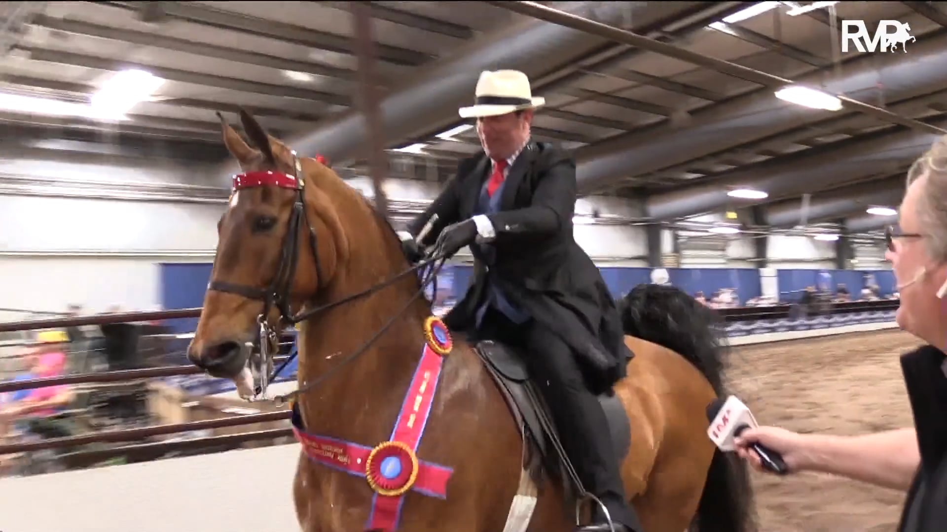 MC19 - Class 164 - Designed by You