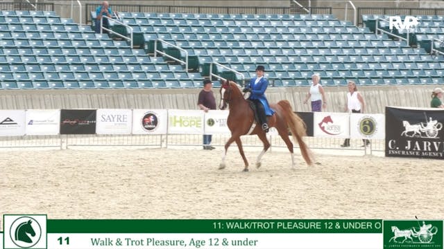 LJL24 - Class 11 - Walk-Trot Pleasure...