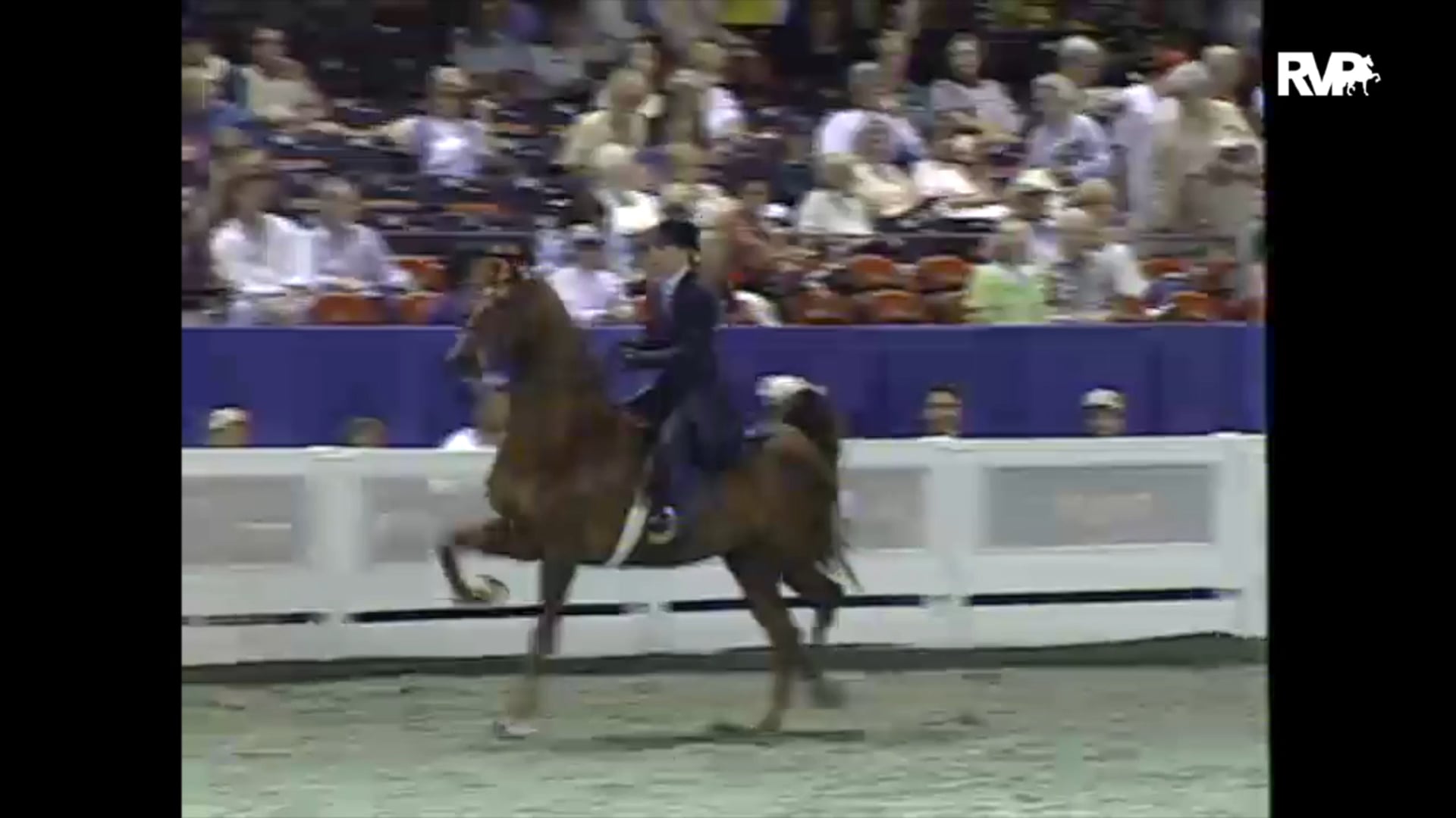 1997 WCHS - Class 188 Two Year Old Five Gaited Stake