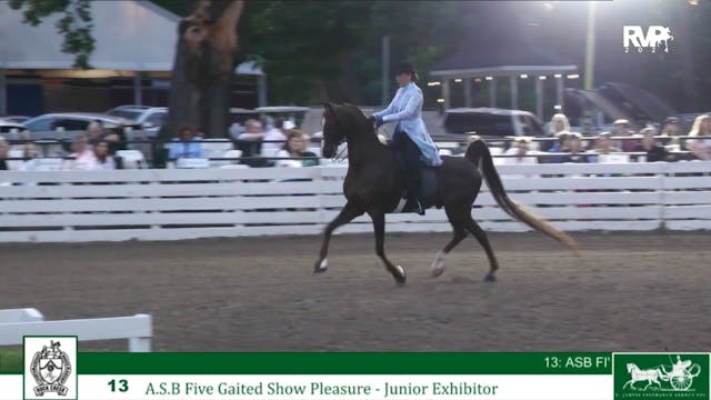 RC24 - Class 13 - ASB Five Gaited Sho...