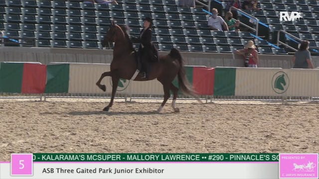 2020 LJL - Class 5 ASB Three Gaited P...