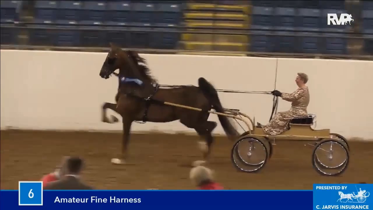 BB16 - Thursday Evening