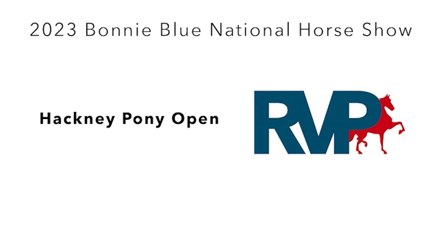 BB23 - Class 4 - Hackney Pony Open