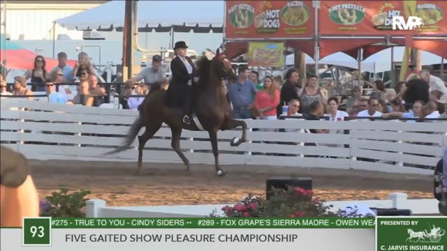 2016 RC - Class 93 Five Gaited Show P...