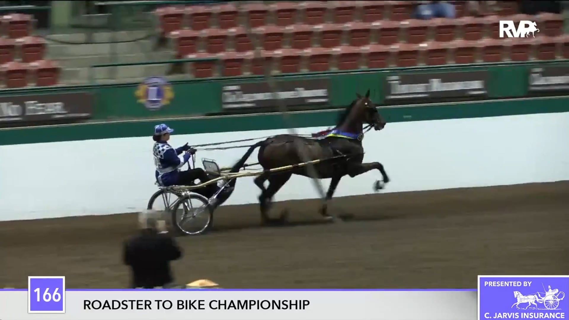 NCSC17 - Class 166 - GR CH Belle Starr