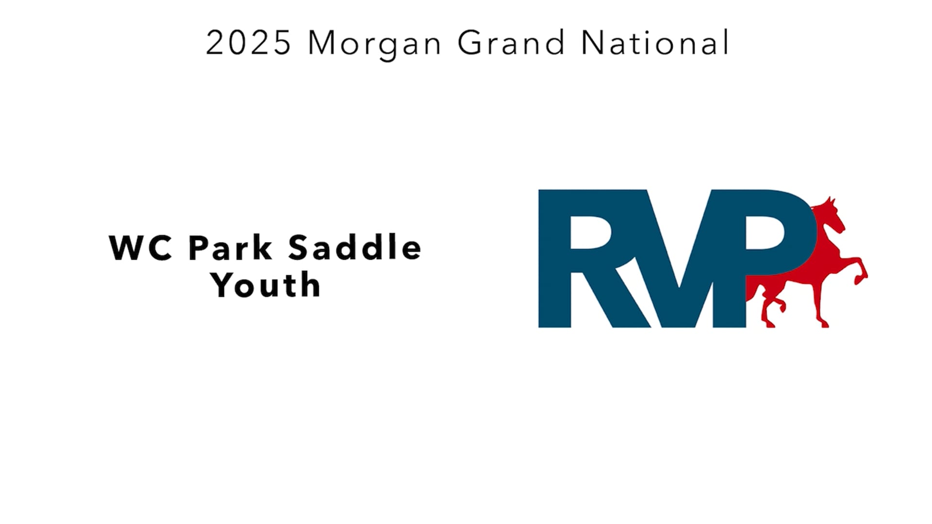 MGN25 - Class 399 - WC Park Saddle Youth