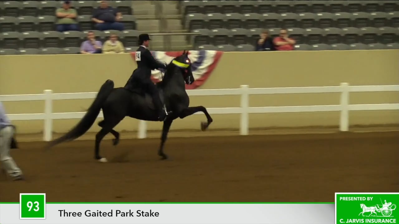 KYSP18 Class 93 Brookhill's Glam Slam Championship